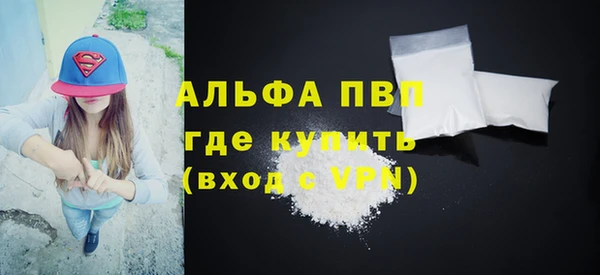 a pvp Бородино
