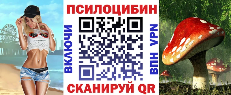 где можно купить   Кузнецк  Псилоцибиновые грибы мицелий 